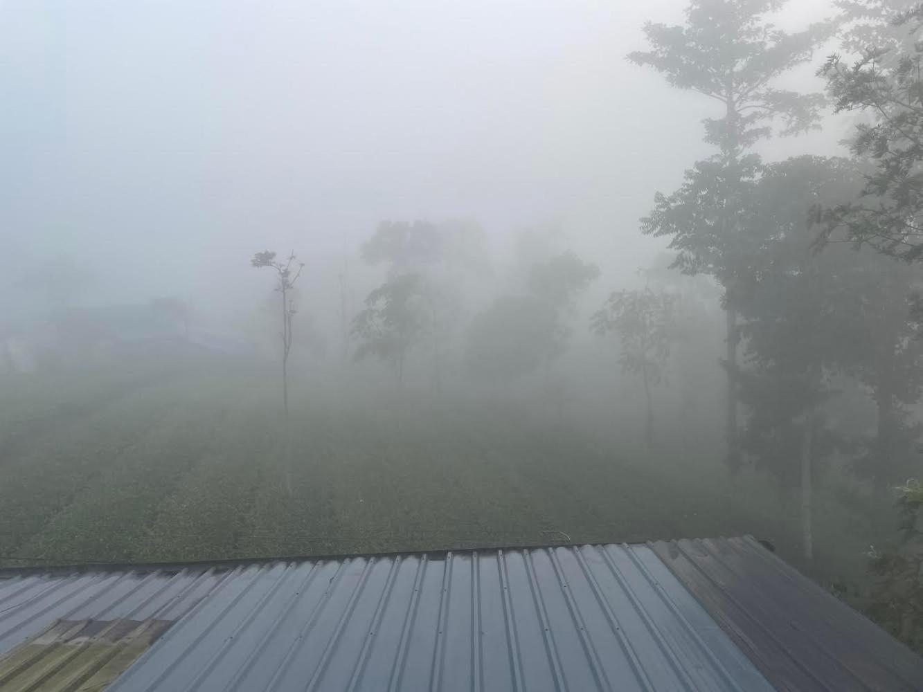 Best Mist Idukki Kültér fotó