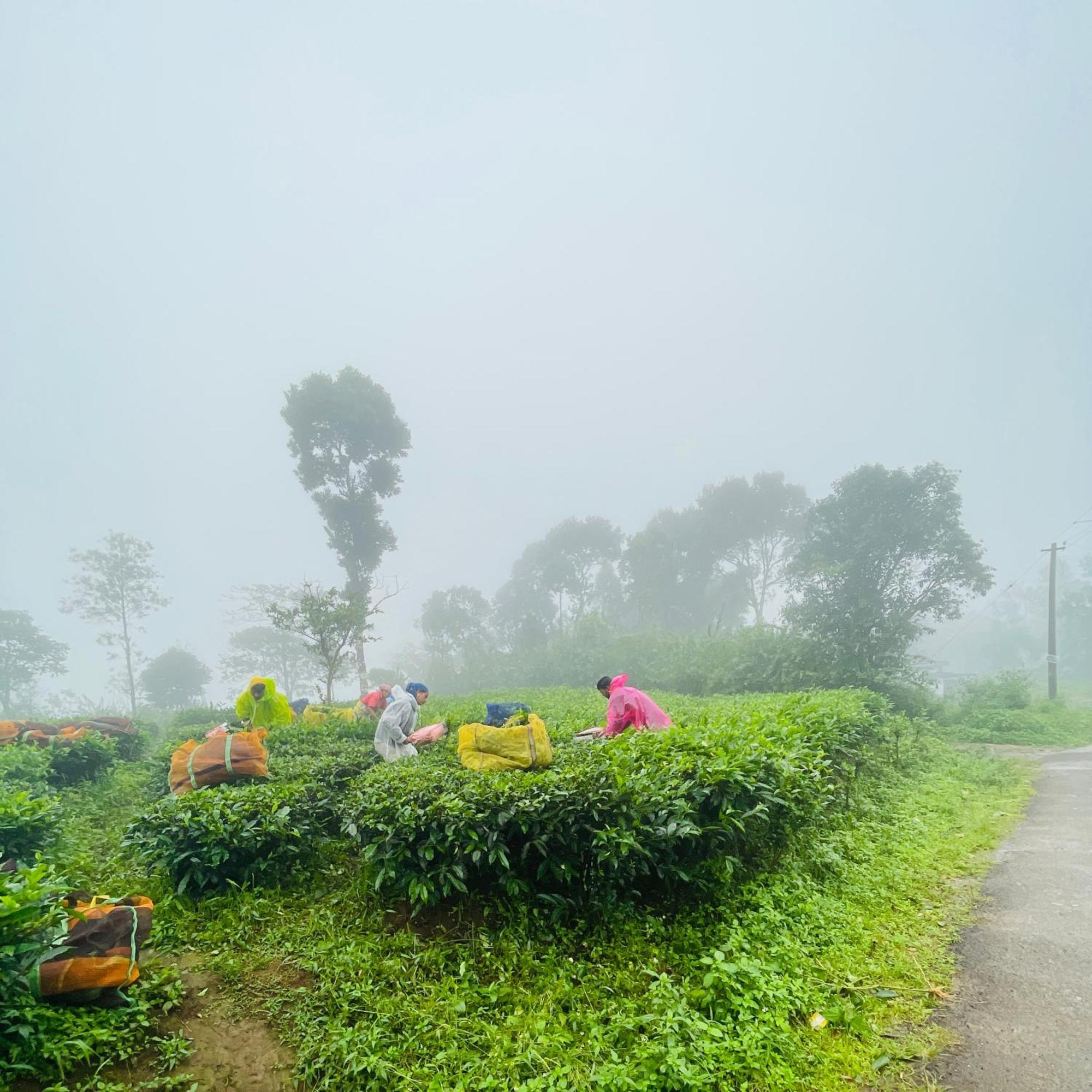 Best Mist Idukki Kültér fotó
