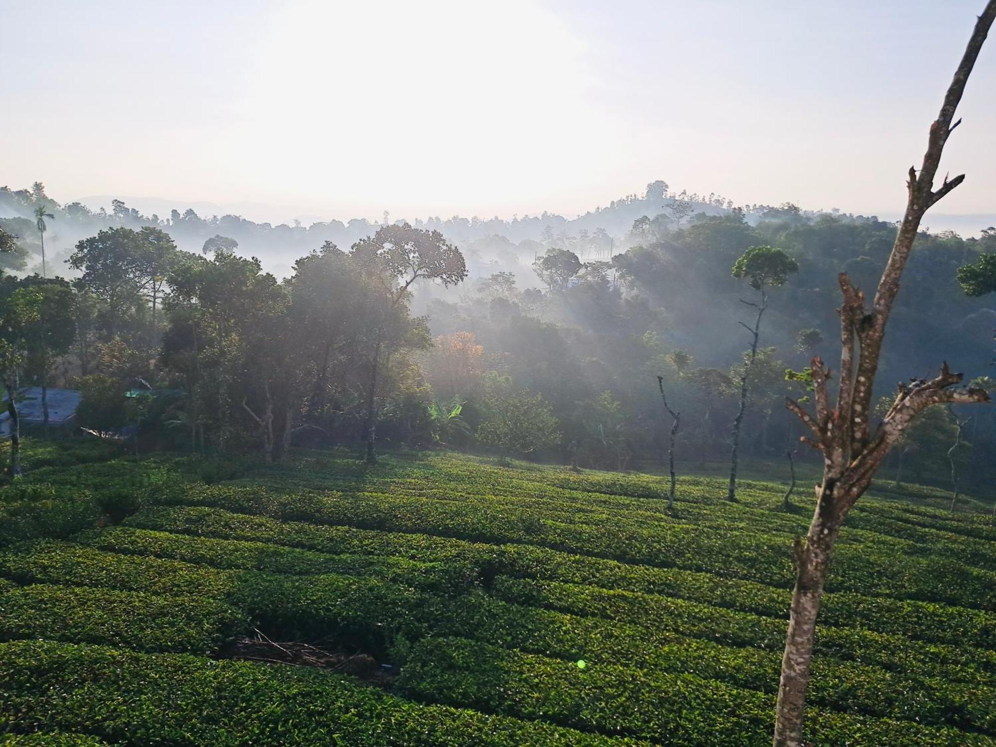 Best Mist Idukki Kültér fotó